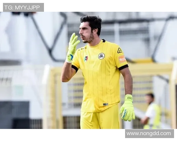 2018意甲精彩对决切沃迎战弗洛辛诺内全场回顾与精彩瞬间分析 2018意甲精彩对决切沃迎战弗洛辛诺内全场回顾与精彩瞬间分析