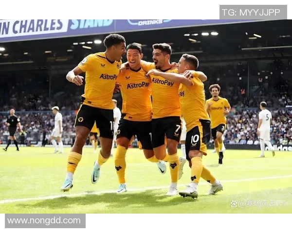 富勒姆与狼队实力对比分析谁能在英超赛场更胜一筹