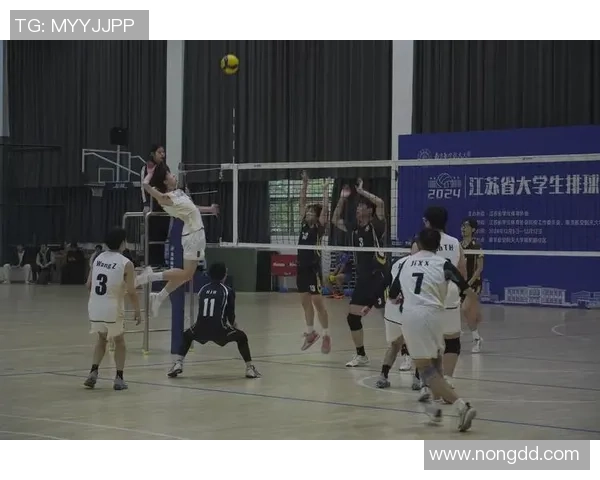 西安排球队的拼搏之路：一段不屈不挠的排球奋斗历程